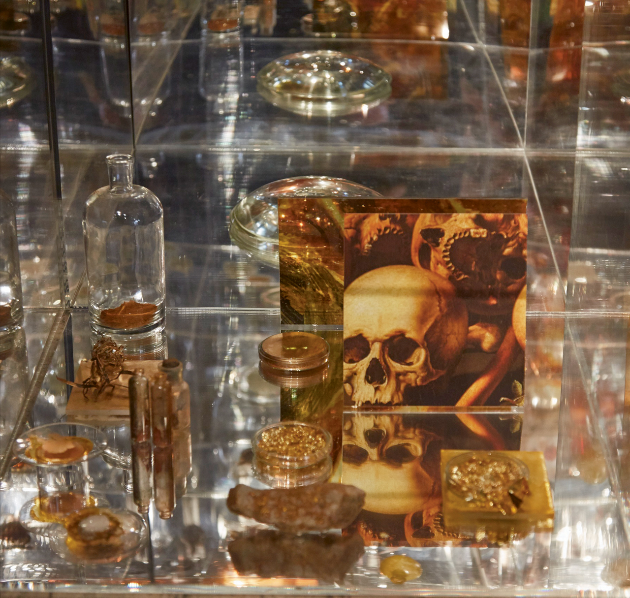 Janet Laurence Survey Exhibition Announced at MCA