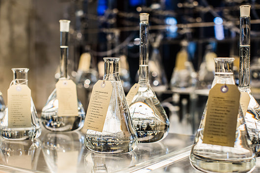 Janet Laurence in 56th October Salon and XIII Bienal de Cuenca