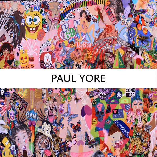 Shop - Paul Yore