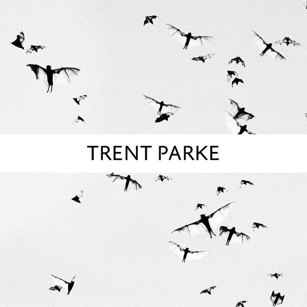 Shop - Trent Parke