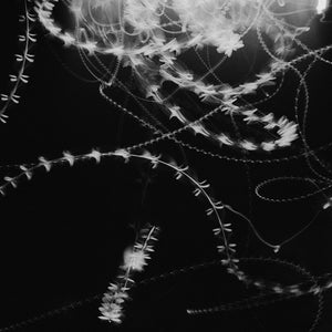 Trent Parke, Untitled #54, Adelaide, South Australia, 2023, silver gelatin print 36 x 55 cm, edition of 25; 116 x 172 cm, ed. of 10