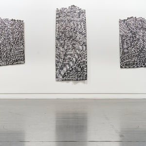 Binygurr Wirrpanda's 'Dancing Brolgas' at Hugo Michell Gallery, 2024.