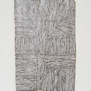 Napunda Marawili, Yathikpa (4294-24), 2024, Natural pigments on Stringybark, 114 x 76 cm