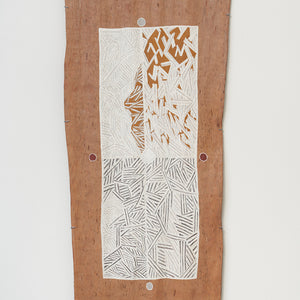 Binygurr Wirrpanda, Yalata (3869 24), 2024, earth pigments on Stringybark, 200 x 92 cm