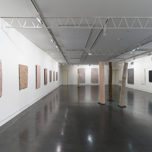 Guruwuy Murrinyina, Garawan Waṉambi, and Djirrirra Wunuŋmurra in 'Dhulmu - Deep' at Hugo Michell Gallery, 2023