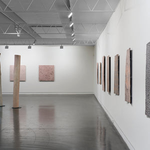 Guruwuy Murrinyina, Garawan Waṉambi, and Djirrirra Wunuŋmurra in 'Dhulmu - Deep' at Hugo Michell Gallery, 2023