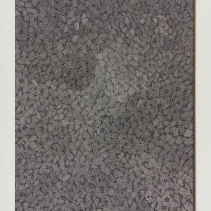 Djirrirra Wunuŋmurra, Buyku (8645), 2022, natural pigment with synthetic polymer fixative on board, 180 x 122 cm