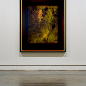 Justine Varga, Diffusion (78Y49M29C) (installation view), 2023, chromogenic photograph, 147.5 x 122 cm, edition of 5 + 2 AP