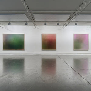 Marisa Purcell's 'Light Savour' at Hugo Michell Gallery, 2024.