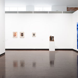 Installation of 'Material Nature', curated by Dr Anne-Marie Jean, at the ANU Drill Hall Gallery, 2025. Photo by Oscar Capezio