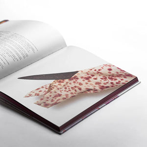 Julia Robinson SALA Monograph publication: written by Leigh Robb, Hannah Kent, Jess Taylor