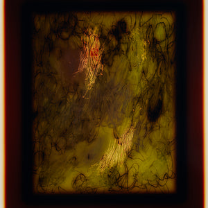 Justine Varga, Diffusion (78Y49M29C), 2023, chromogenic photograph, 147.5 x 122 cm, edition of 5 + 2 AP