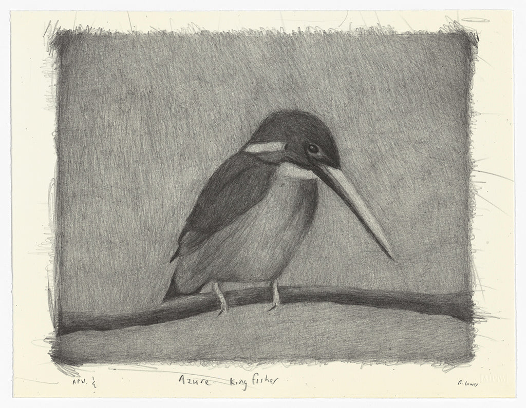 Richard Lewer 'Azure Kingfisher' Lithograph Print