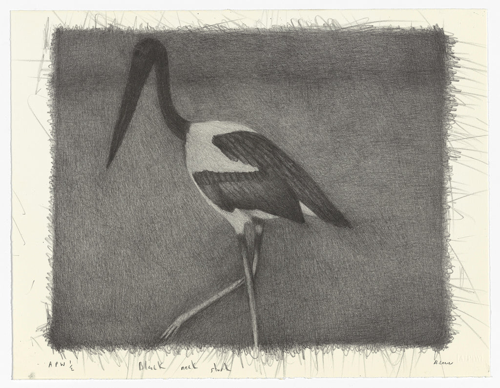 Richard Lewer 'Black necked Stork' Lithograph Print