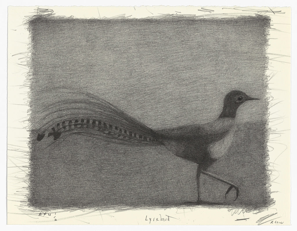 Richard Lewer 'Lyrebird' Lithograph Print