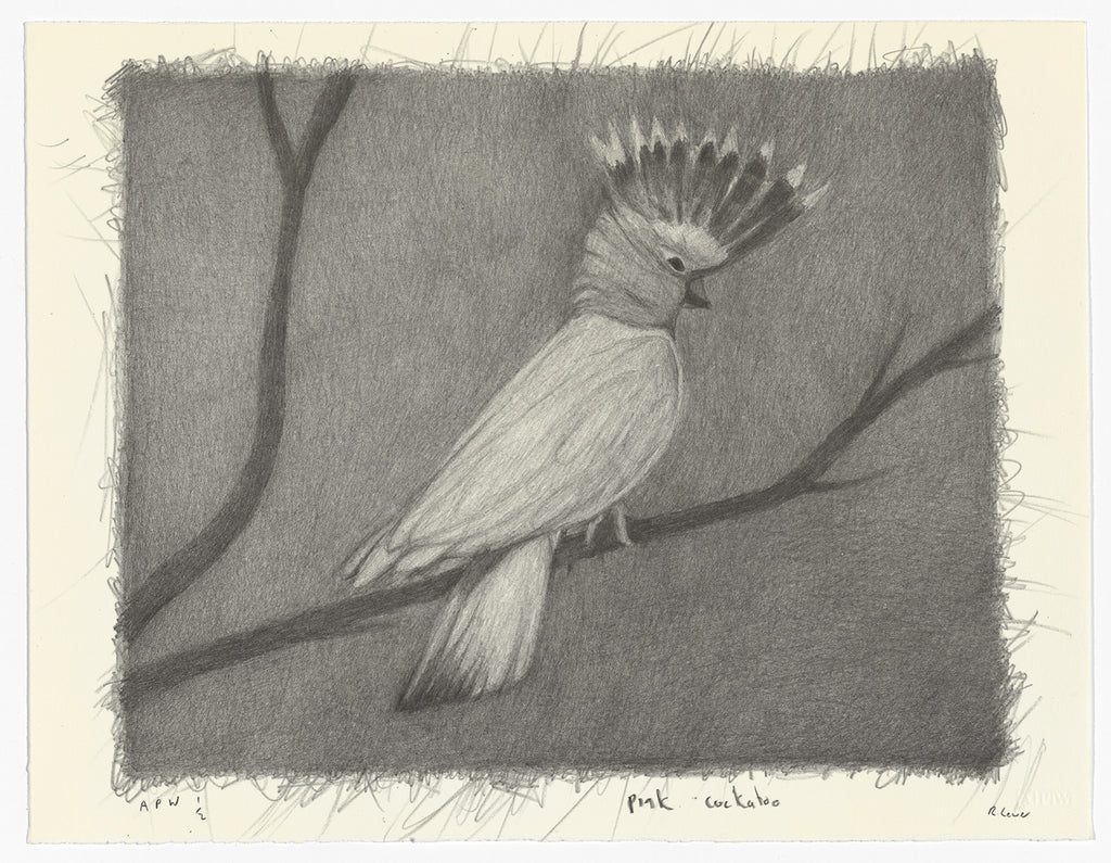 Richard Lewer 'Pink Cockatoo' Lithograph Print