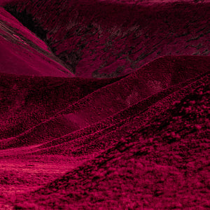Kate Ballis, Tapestries, 2023-2024, archival inkjet print on cotton rag,  100 x 150 cm, edition of 8 + 2AP