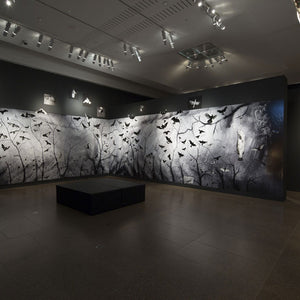 Trent Parke’s ‘The Black Rose’ at the Art Gallery of South Australia, 2015