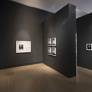 Trent Parke’s ‘The Black Rose’ at the Art Gallery of South Australia, 2015