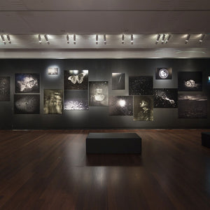 Trent Parke’s ‘The Black Rose’ at the Art Gallery of South Australia, 2015