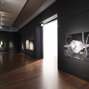 Trent Parke’s ‘The Black Rose’ at the Art Gallery of South Australia, 2015