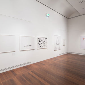 Trent Parke’s ‘The Black Rose’ at the Art Gallery of South Australia, 2015