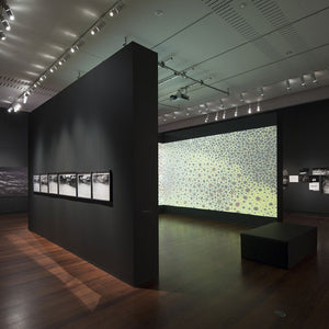 Trent Parke’s ‘The Black Rose’ at the Art Gallery of South Australia, 2015