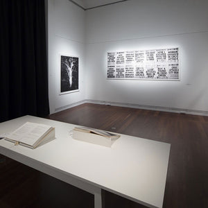Trent Parke’s ‘The Black Rose’ at the Art Gallery of South Australia, 2015