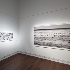Trent Parke’s ‘The Black Rose’ at the Art Gallery of South Australia, 2015