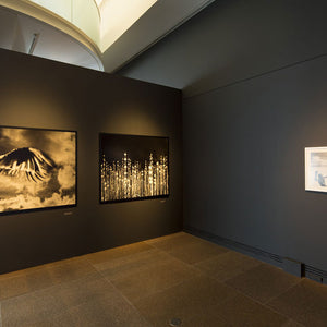 Trent Parke’s ‘The Black Rose’ at the Art Gallery of South Australia, 2015