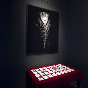 Trent Parke’s ‘The Black Rose’ at the Art Gallery of South Australia, 2015