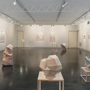Amy Joy Watson's 'Moon Dune' at Hugo Michell Gallery, 2016