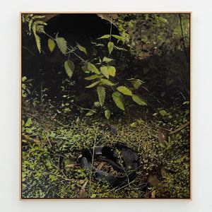 Grant Nimmo, Is Fear Ciúin Mè (Taungurong Country), 2021, oil on linen, 56x 61 cm