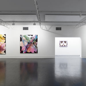 ‘Jan Murphy Gallery’ at Hugo Michell Gallery’, 2021