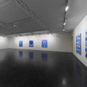 Lucas Grogan's 'CABINETS' at Hugo Michell Gallery, 2023
