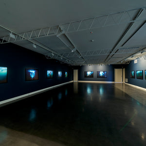 Narelle Autio ‘Place In Between: The Changelings’ at Hugo Michell Gallery 2021