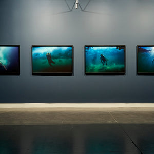 Narelle Autio ‘Place In Between: The Changelings’ at Hugo Michell Gallery 2021