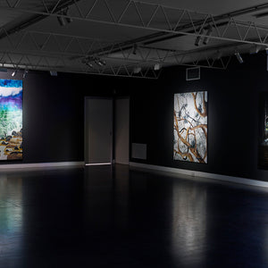William Mackinnon's 'Home and Away' at Hugo Michell Gallery, 2022
