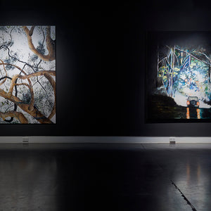 William Mackinnon's 'Home and Away' at Hugo Michell Gallery, 2022