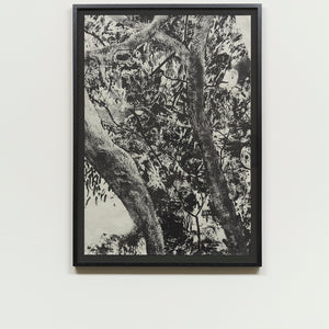 William Mackinnon, Siblings, 2021-22, screenprint on Japanese paper, 92 x 64 cm, edition of 10