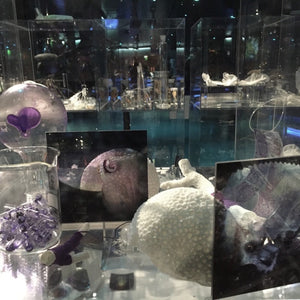 Janet Laurence, ‘Deep Breathing (Resuscitation for the Reef)’, 2015, mixed media installation, for UNFCCC/COP21 at the Muséum national d’Histoire naturelle, Paris