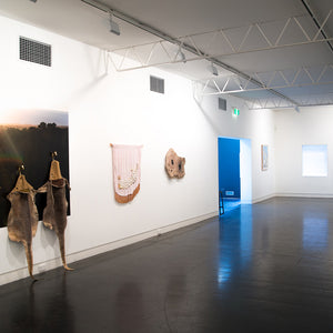 Sera Waters’ ‘Illusions of History’ at Hugo Michell Gallery, 2016