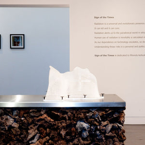 James Darling & Lesley Forwood’s ‘Sign of the Times’ at Hugo Michell Gallery, 2014