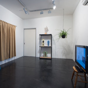 Elvis Richardson’s ‘Settlement’ at Hugo Michell Gallery, 2016