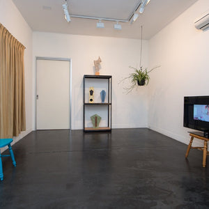 Elvis Richardson’s ‘Settlement’ at Hugo Michell Gallery, 2016