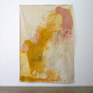 Jahnne Pasco-White, becoming-with 13, 2019, acrylic, paper, oil, wattle, lilly pilly berries, grass, lichen, limestone, pencil, crayon, oil pastel, pigment, cement oxide, cotton, paper, flowers on canvas, 260 x 180 cm