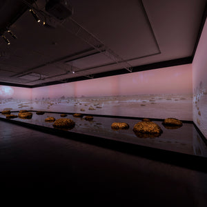 James Darling & Lesley Forwood’s 'Living Rocks: A Fragment of the Universe' at Hugo Michell Gallery, 2018