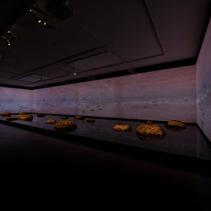 James Darling & Lesley Forwood’s 'Living Rocks: A Fragment of the Universe' at Hugo Michell Gallery, 2018