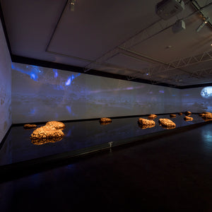 James Darling & Lesley Forwood’s 'Living Rocks: A Fragment of the Universe' at Hugo Michell Gallery, 2018