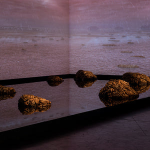 James Darling & Lesley Forwood’s 'Living Rocks: A Fragment of the Universe' at Hugo Michell Gallery, 2018